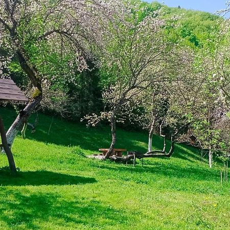 Під Горою Villa Sheshory Exteriör bild