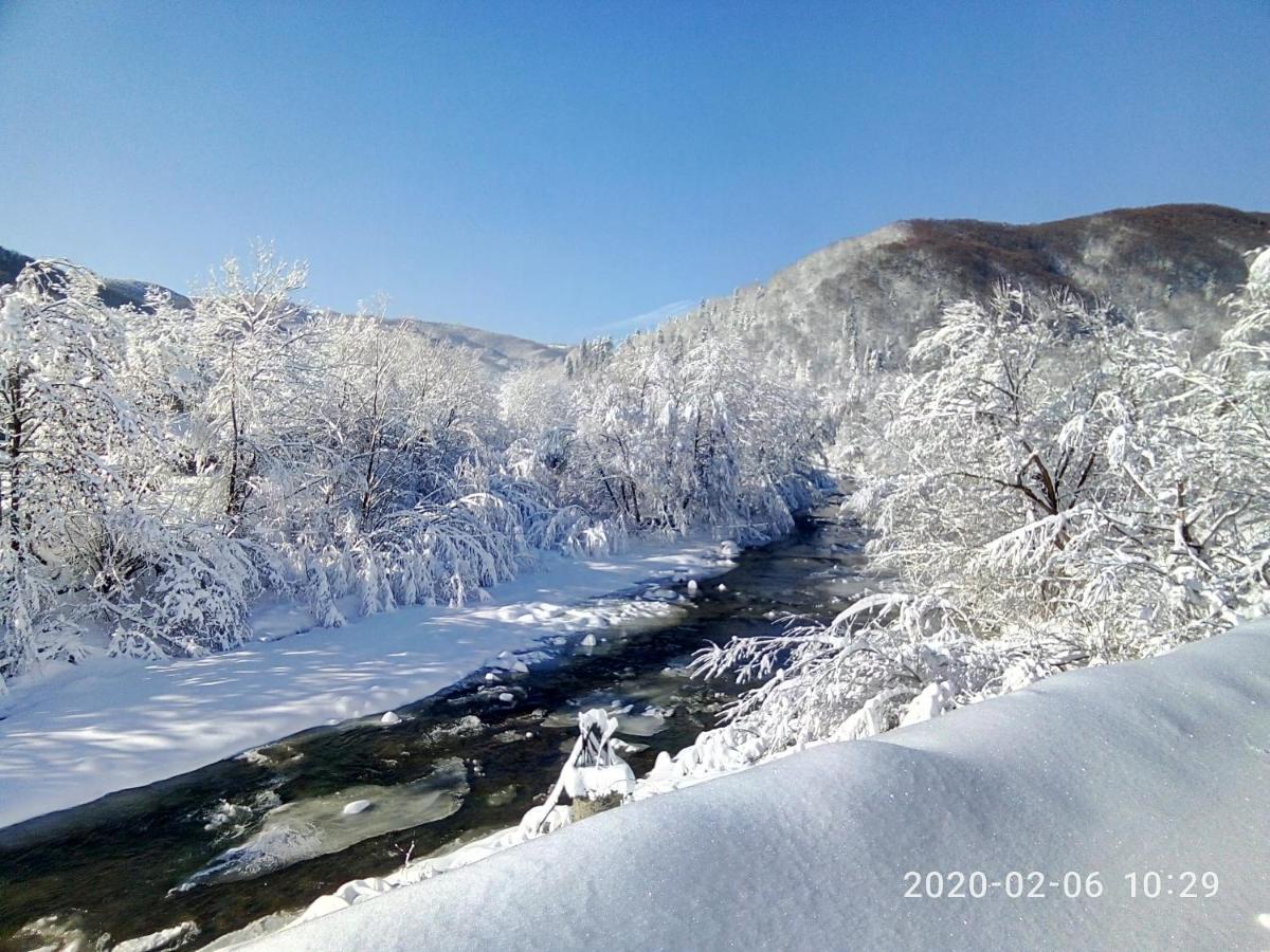 Під Горою Villa Sheshory Exteriör bild