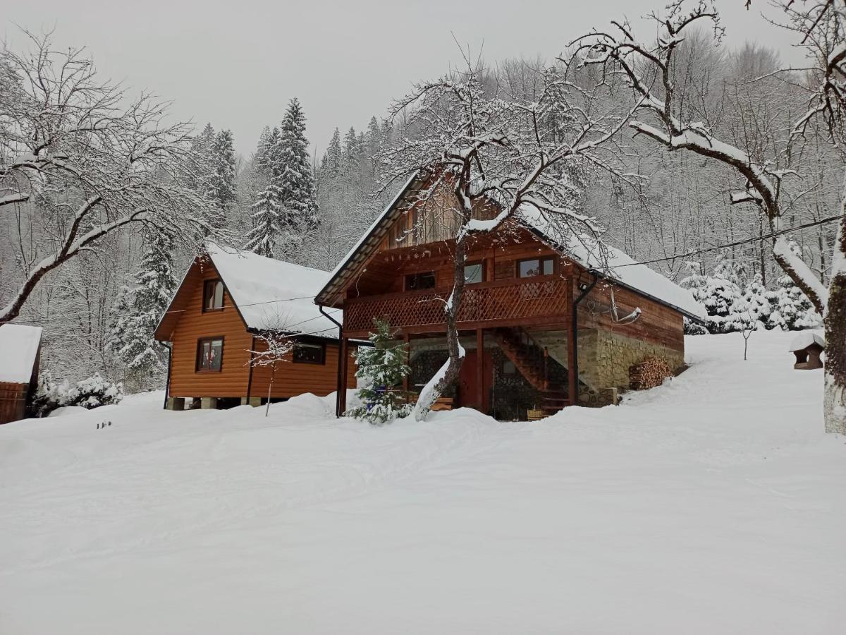 Під Горою Villa Sheshory Exteriör bild