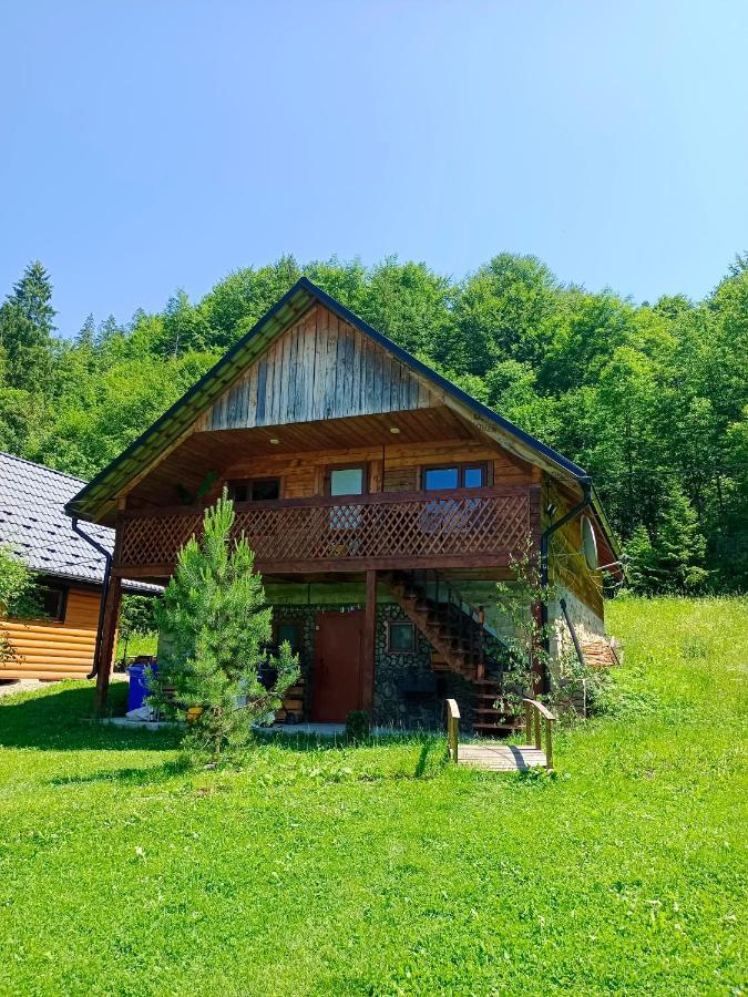 Під Горою Villa Sheshory Exteriör bild