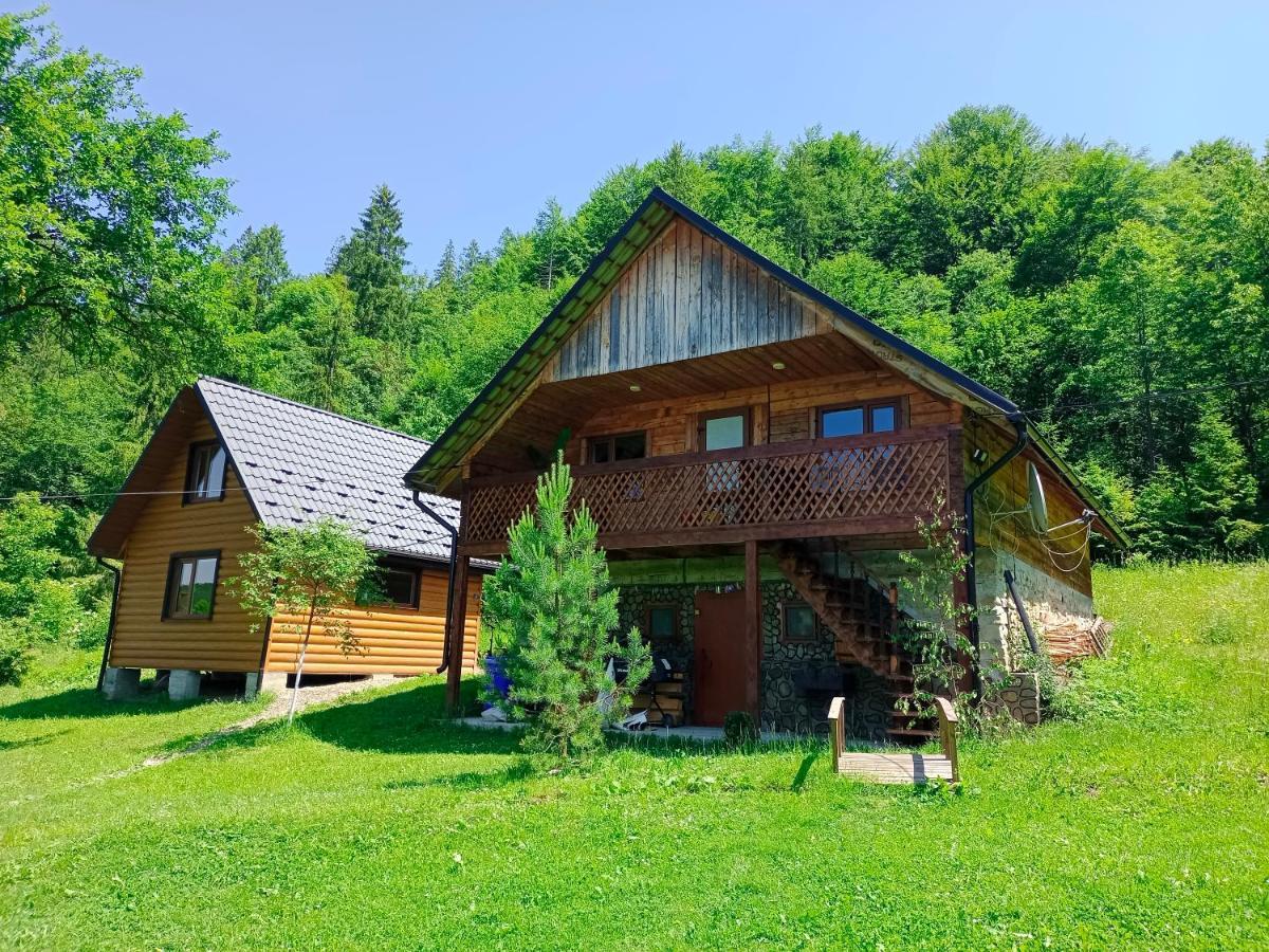 Під Горою Villa Sheshory Exteriör bild