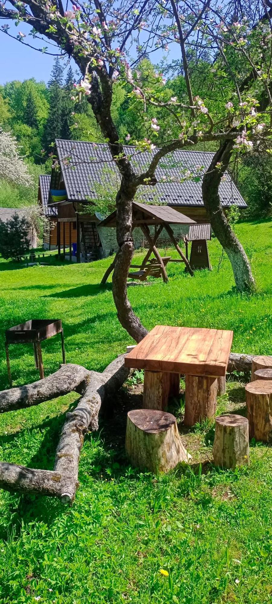 Під Горою Villa Sheshory Exteriör bild