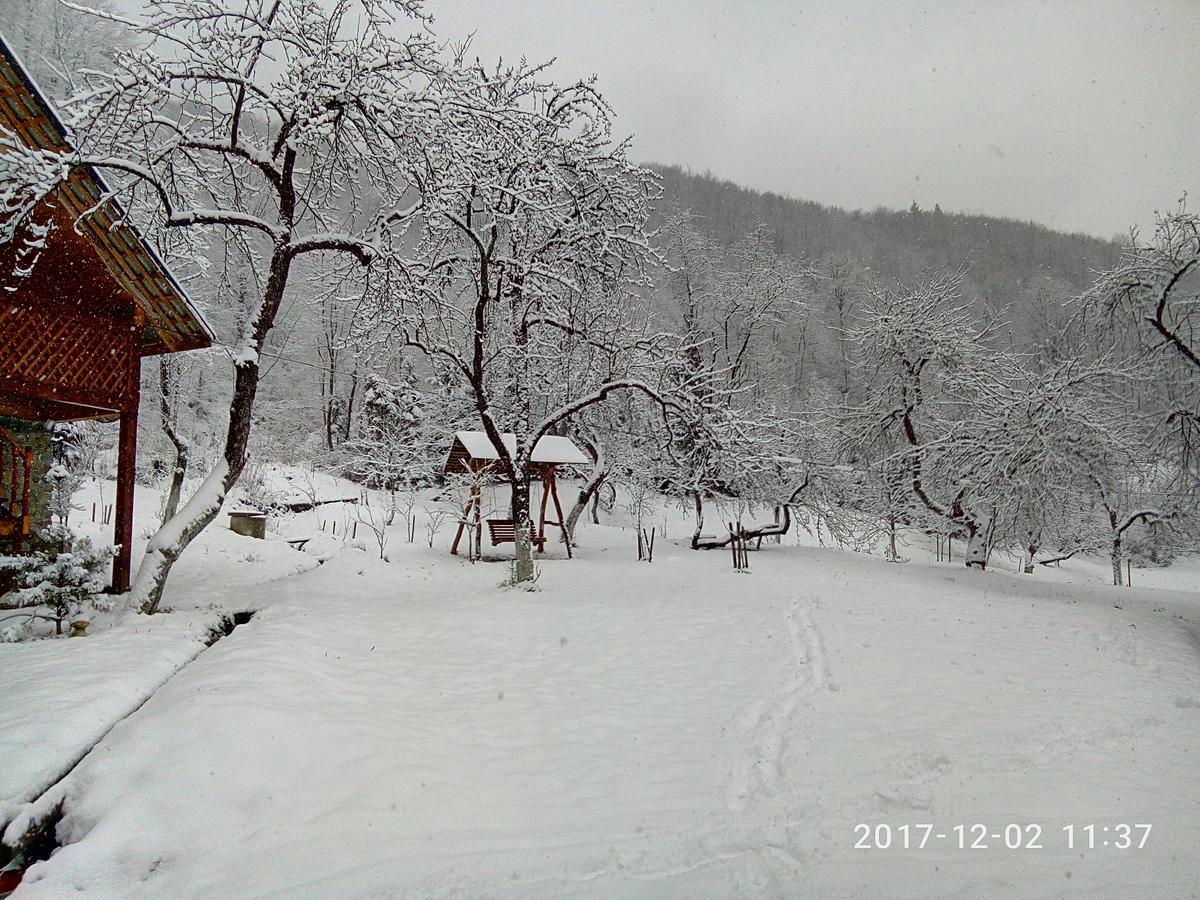 Під Горою Villa Sheshory Exteriör bild